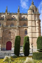 Salamanca Cathedral facade in Spain by the Via de la Plata way to Santiago