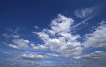 Blue sky with white summer cumulus clouds