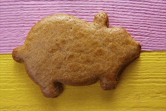 Mexican puerquito piggy shape pastry from Mexico