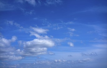 Blue sky with white summer cumulus clouds