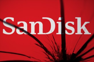 Sandisk logo is visible on the broken glass. SanDisk LLC is an American multinational computer