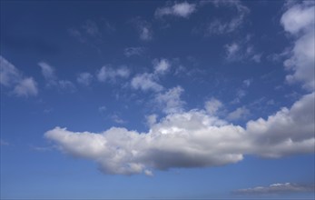 Blue sky with white summer cumulus clouds