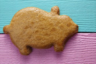 Mexican puerquito piggy shape pastry from Mexico