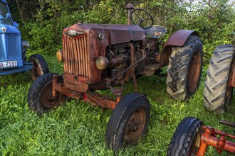 Old farm tractor, Burguete, Santiago's road, Navarra, Spain, Europe