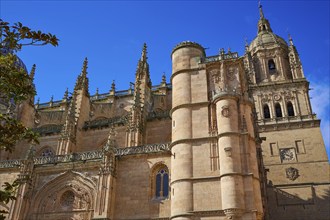 Salamanca Cathedral facade in Spain by the Via de la Plata way to Santiago