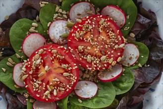 Tomato salad with seeds radish spinach and lettuces healthy food