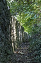 Medieval path with stone wall, Freyburg, Saxony-Anhalt, Germany, Europe