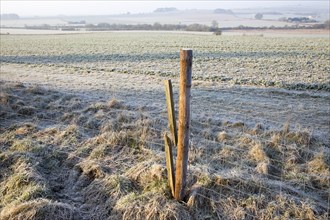 Frosty morning landscape looking south west from Windmill Hill, Avebury, Wiltshire, England, UK