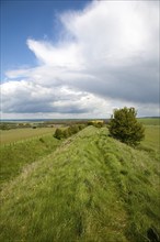 Ditch and embankment of the Wansdyke a Saxon defensive structure on All Cannings chalk downs near