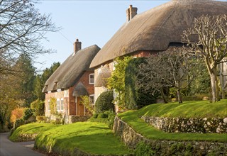 Attractive traditional thatched cottages in village of Woodborough, Wiltshire, England, UK