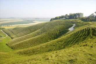 White horse in chalk scarp slope Cherhill, Wiltshire, England, UK dating form 1780