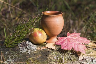 A clay cup with heather, apple and red leaves. autumn still life