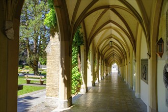 Arcades in the municipal park, former cemetery, Schwaz, Inntal, Tyrol, Austria, Europe