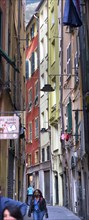 Tall residential buildings in a narrow alley in the historic centre of Genoa, Italy, Europe