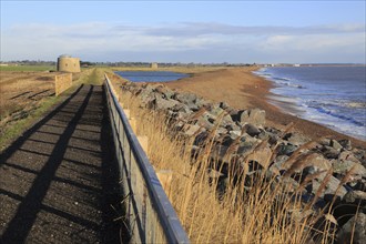 North Sea coastline between Bawdsey and Shingle Street, East Lane, Bawdsey, Suffolk, England, UK