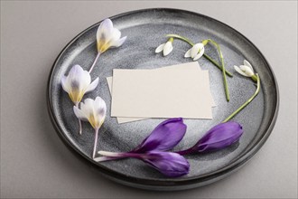 Gray paper invitation card, mockup with crocus and galanthus flowers on ceramic plate and gray