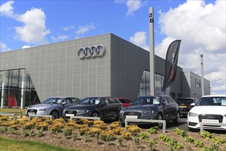 Audi logo sign car showroom building, Ipswich, Suffolk, England, UK