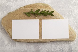 White paper business card, mockup with natural stone and boxwood branch on gray concrete background