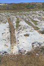 Misrah Ghar il-Kbir, Clapham Junction, prehistoric cart ruts tracked over rocky limestone surface,