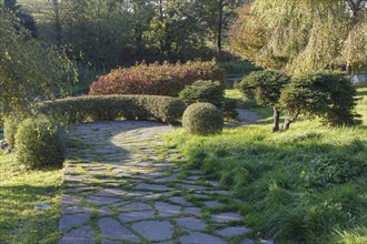 Park with green lawn, trees trimmed bushes and natural stone path in autumn. Modern landscape