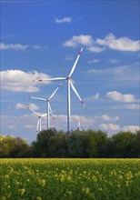 Wind turbines with rape field in bloom in spring, Titz, Lower Rhine, North Rhine-Westphalia,