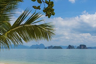 Palm beach on Koh Yao Noi, beach holiday, beach landscape, palm tree, sea, dream beach, dream