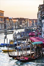 Gondolas with jetty on the Grand Canal, empty, city trip, holiday, travel, tourism, lagoon city,