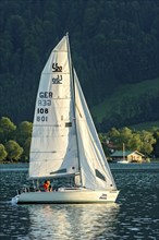 Sailing boat on the Tegernsee, warm evening light, Mangfall mountains, Bavarian Prealps, Alps,