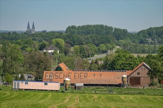 Farm near Xanten, sells fresh eggs from the farm, farm shop, Höhnshof, advertising on the red