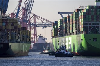 Container ship Ever Gifted, arriving at the port of Hamburg, Waltershofer Hafen, HHLA Container