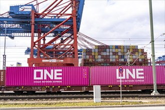 Port of Hamburg, Waltershofer Hafen, container ships, goods train brings and collects freight