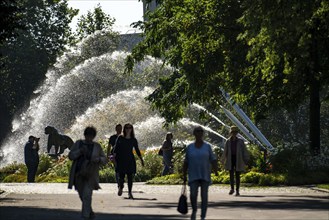 The Grugapark, main entrance at the Grugahalle, five-jet water fountain, bronze artwork, tiger,