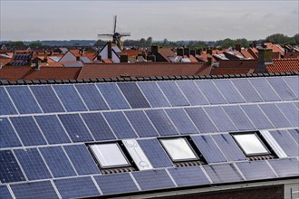 Solar modules on roofs, on the roof of a building on the dyke, North Sea coast, in Zeeland,