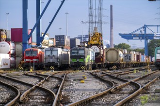 Locomotives of container trains, in Duisburg harbour, Logport, goods trains being loaded, part of