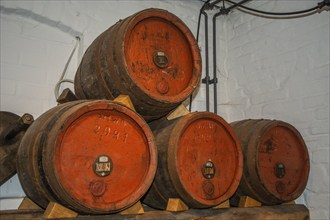 Barrels for storing rum in the rum museum in Flensburg, Schleswig-Holstein, Germany, Europe