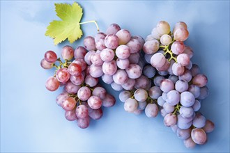 Bunch of red grapefruits on blue background. KI generiert, generiert AI generated