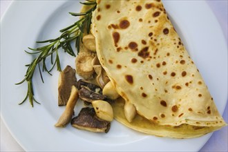 Swabian cuisine, pancakes filled with mushrooms, Flädle with king oyster mushrooms, from the pan,