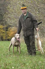 Hunter with hunted hare (Lepus europaeus) and hunting dog Weimaraner shorthair, Lower Austria,