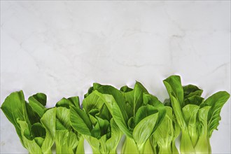 A vibrant display of fresh bok choy sits neatly aligned on a marble countertop. The greens shine