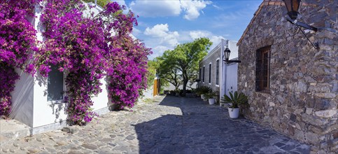 Uruguay, colonial streets of Colonia Del Sacramento in historic center of Barrio Historico, South