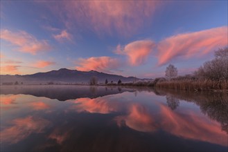 Cloudy mood, dawn, mountains reflected in lake, winter, hoarfrost, Loisach-Lake Kochel moor, behind