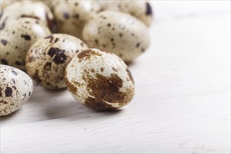 Raw quail eggs on a white wooden background. with copy space