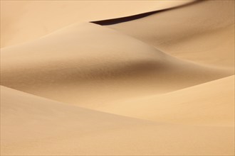 Soft, undulating sand dunes with gentle, natural colours in a desert landscape, Matruh, Great Sand