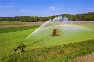 Irrigation of a wheat field on the Lower Rhine, with a mobile irrigation machine, large-area