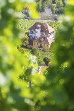 The idyllic, listed Hoflößnitz is a jewel of the Saxon wine culture landscape and the first and