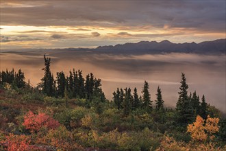 Morning light, cloudy mood, fog, autumnal tundra, autumn colours, wilderness, mountain landscape,