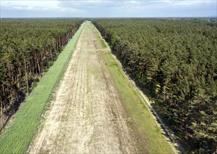 A path in the forest shows the route of the EUGAL pipeline. Hydrogen could be transported via the