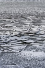 Ice floes, ice, frozen, ice surface, floes, winter, season, nature, water, texture, background,