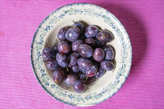 Fresh plums (Prunus domestica) in a bowl, Bavaria, Germany, Europe