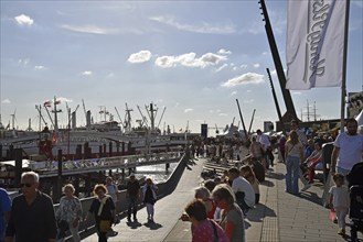 Europe, Germany, Hanseatic City of Hamburg, Jan-Fedder-Promenade, St. Pauli Landungsbrücken, View